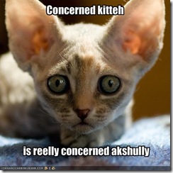 funny-pictures-your-cat-is-very-concerned